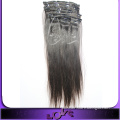 Natural Human Hair Full Head Clip in Hair Extensions